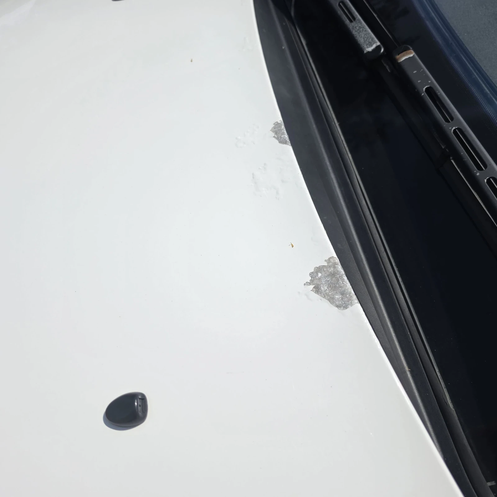 Citroen C4 2.0 HDI, снимка 8 - Автомобили и джипове - 55193813