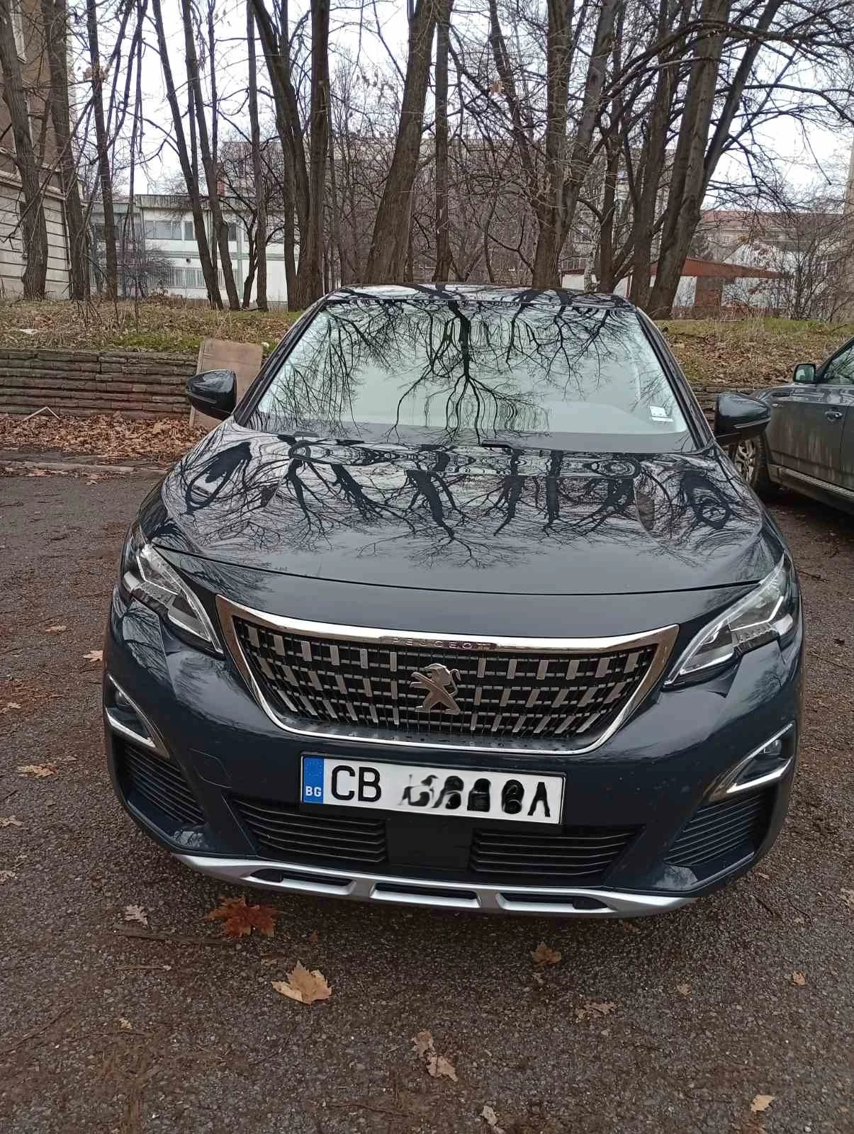Peugeot 3008 1.6PHEV, снимка 1