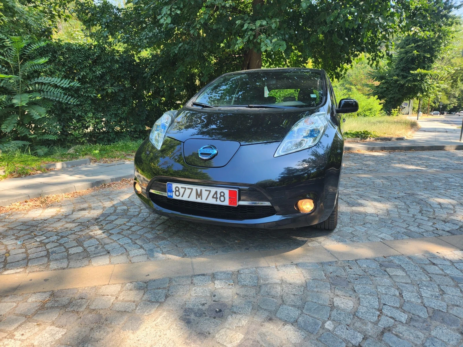 Nissan Leaf  TEKNA