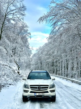 Mercedes-Benz GL 450 4matic, снимка 1