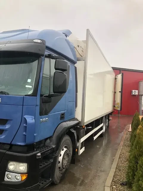 Iveco Stralis AT26S360, снимка 6 - Камиони - 54661971