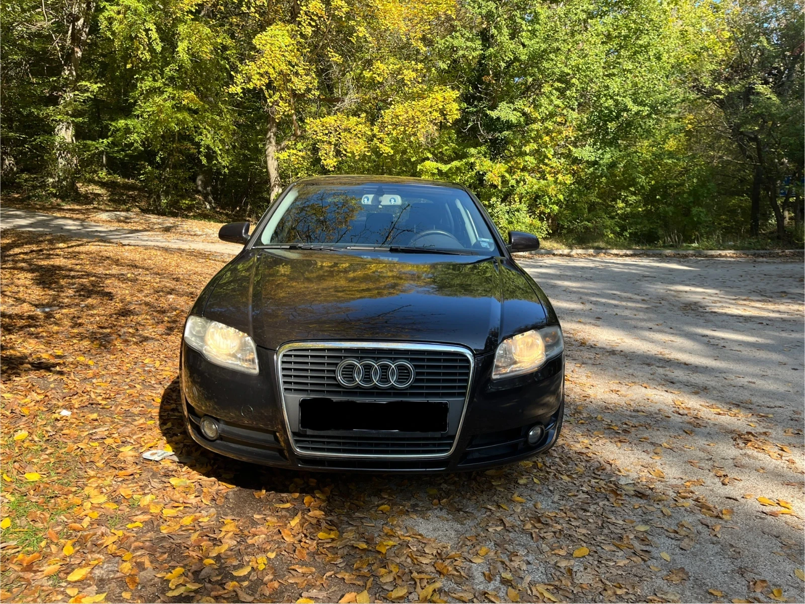 Audi A4, снимка 1