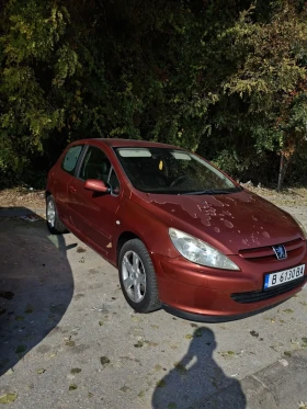  Peugeot 307