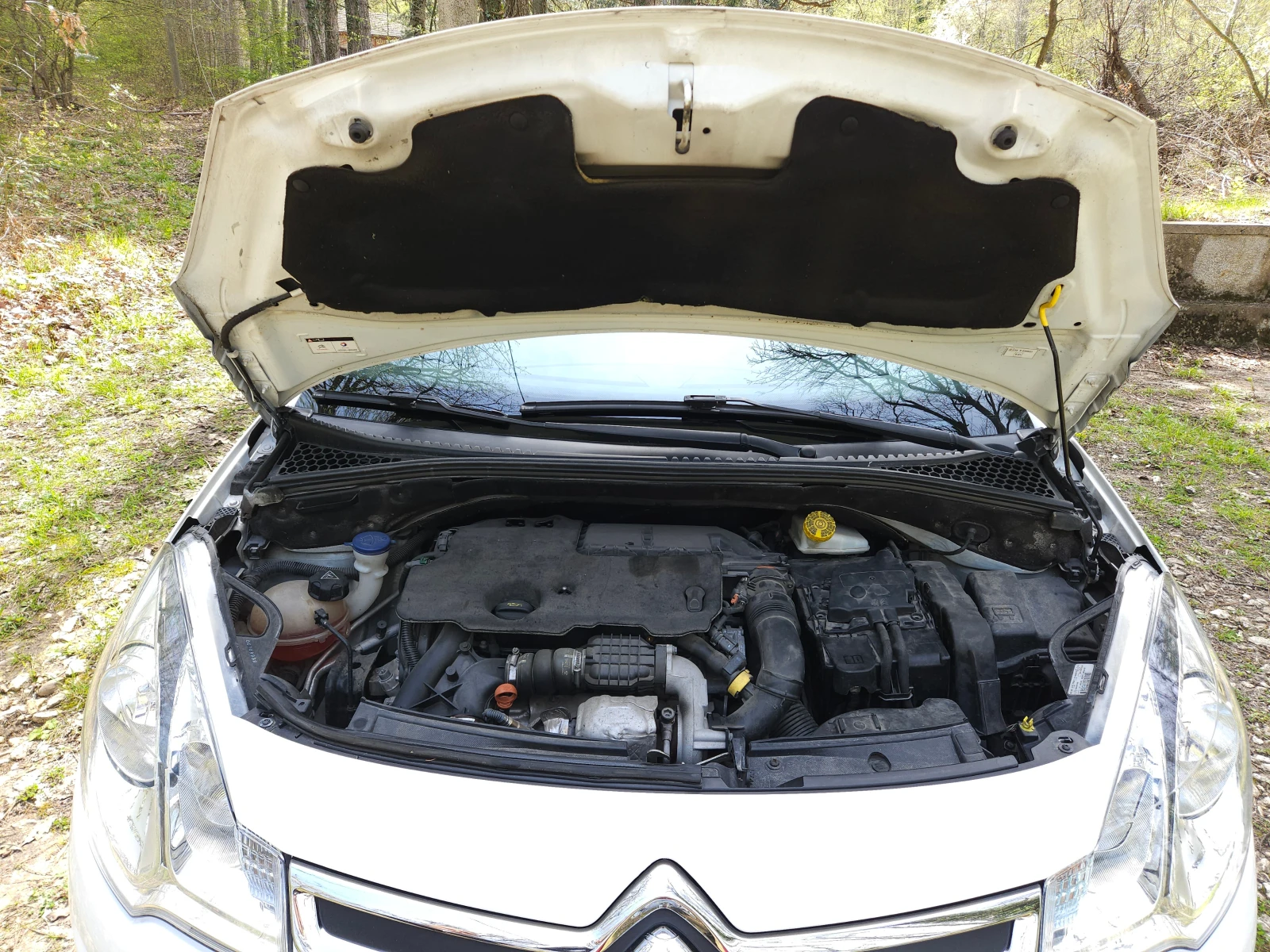 Citroen C3, снимка 11 - Автомобили и джипове - 54219862