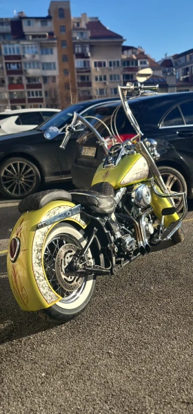Harley-Davidson Softail 
