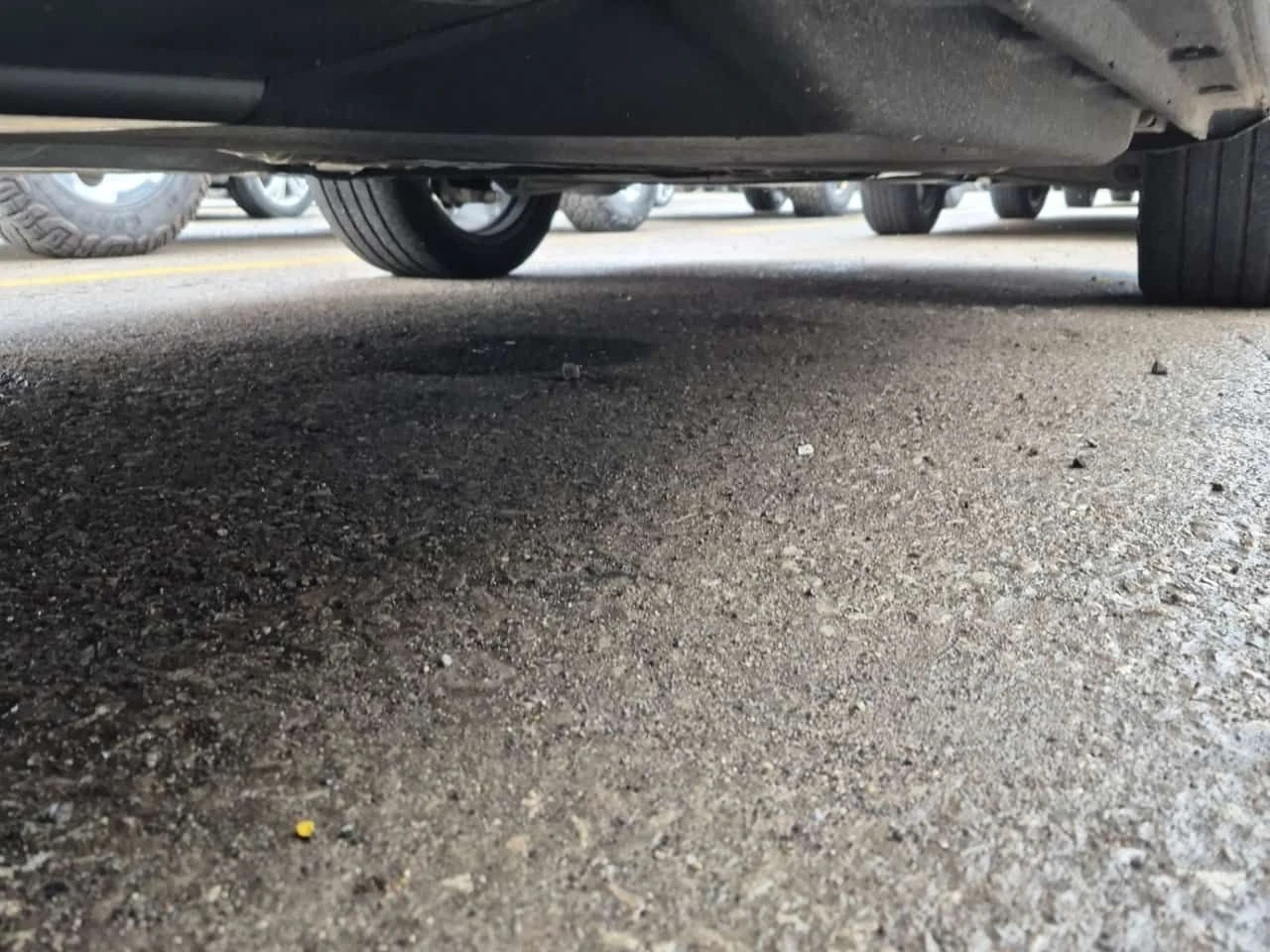 Audi Q5  Progressiv/ CARFAX/DISTRONIC/CAMERA/PANO/NAVI, снимка 17 - Автомобили и джипове - 53953958