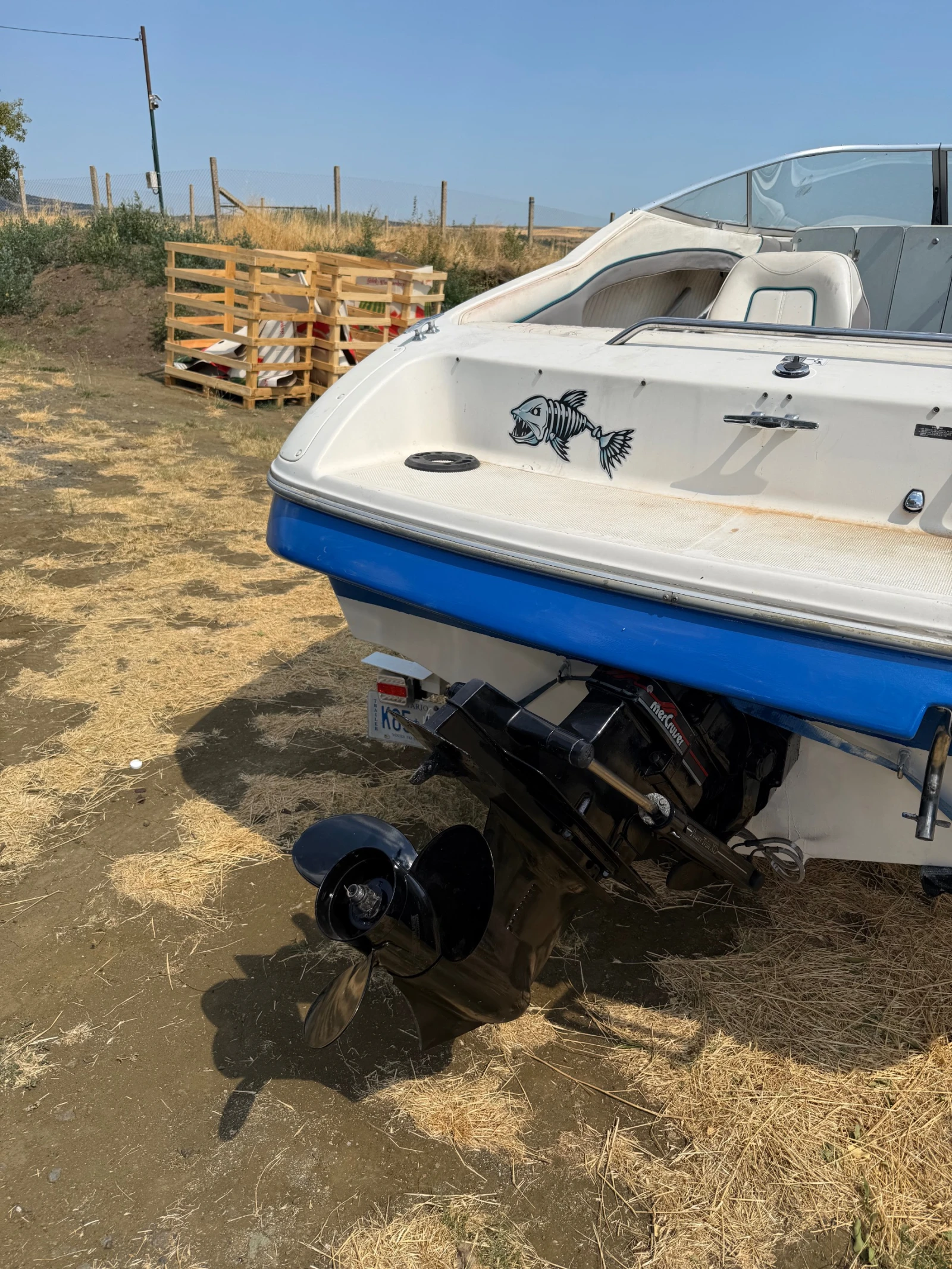 Лодка Bayliner Capri 2052 LS - изображение 9