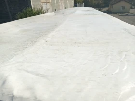 ����������� Benalu | Mobile.bg � ����� ������ 6