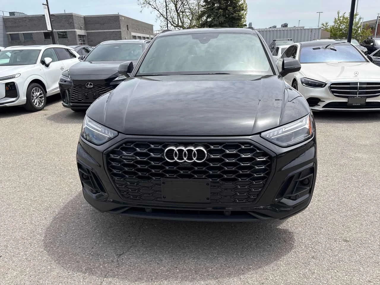 Audi Q5 Technik  CARFAX, снимка 6 - Автомобили и джипове - 54663154