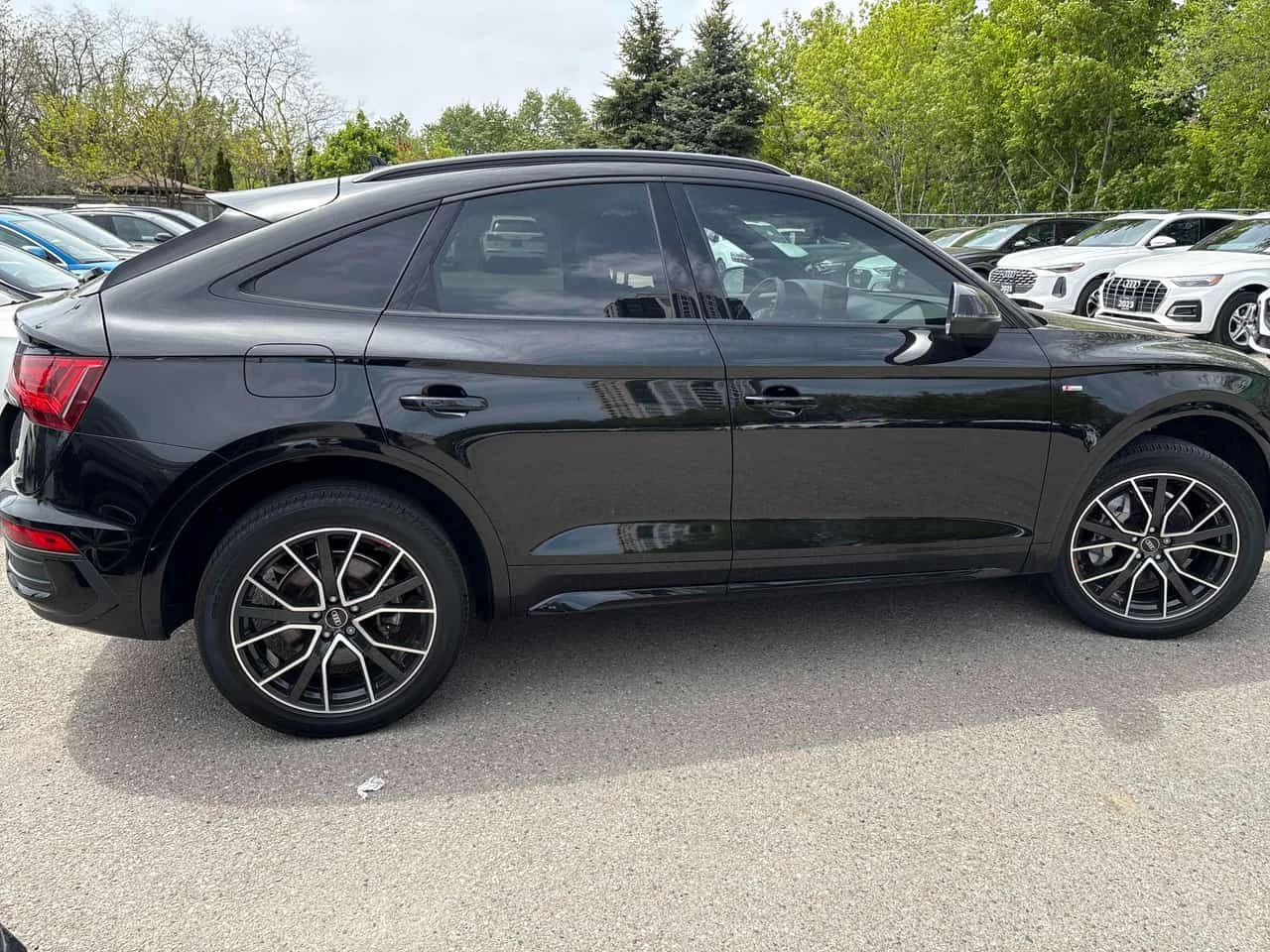 Audi Q5 Technik  CARFAX, снимка 3 - Автомобили и джипове - 54663154