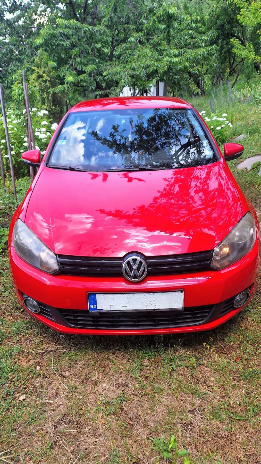 VW Golf