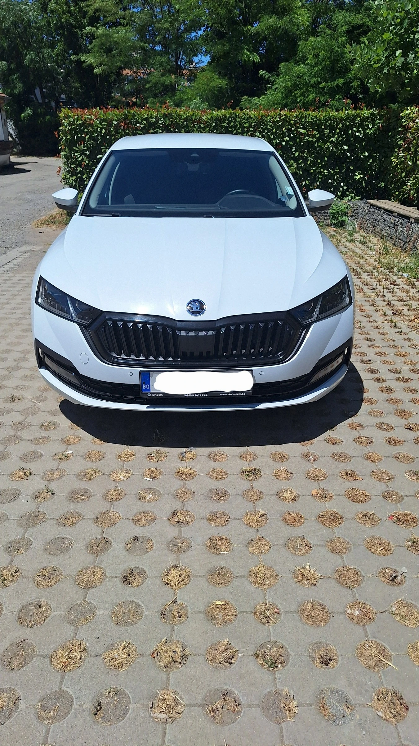 Skoda Octavia EDITION, снимка 2 - Автомобили и джипове - 56054810