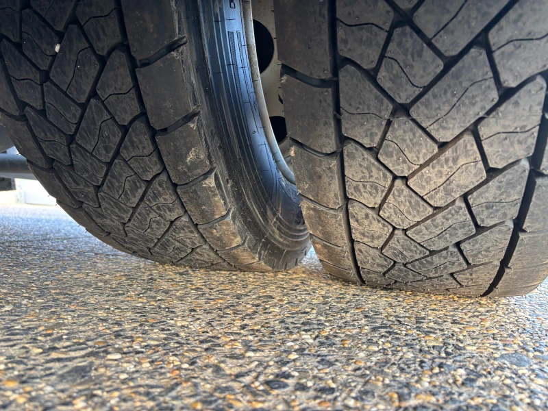 Daf XF 480 SSC LD, XM-6 Fuel Pre Filter, снимка 14 - Камиони - 52472857