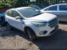     Ford Escape 2.0L I-4 DI, DOHC, VVT, TURBO, 245HP 4X4 Drive