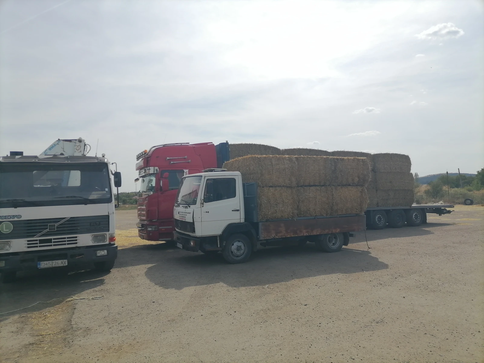 Mercedes-Benz 814  | Mobile.bg   12