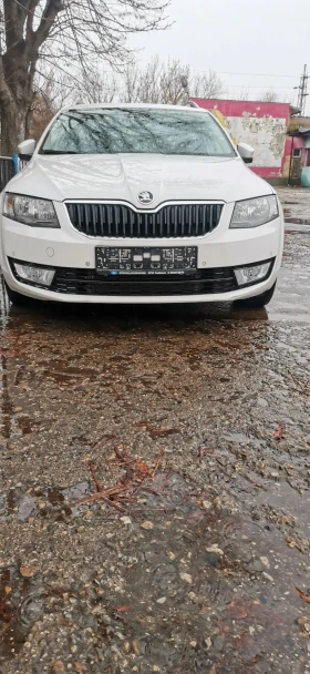 Skoda Octavia 1.6 TDI 4X4 105к.с., снимка 4