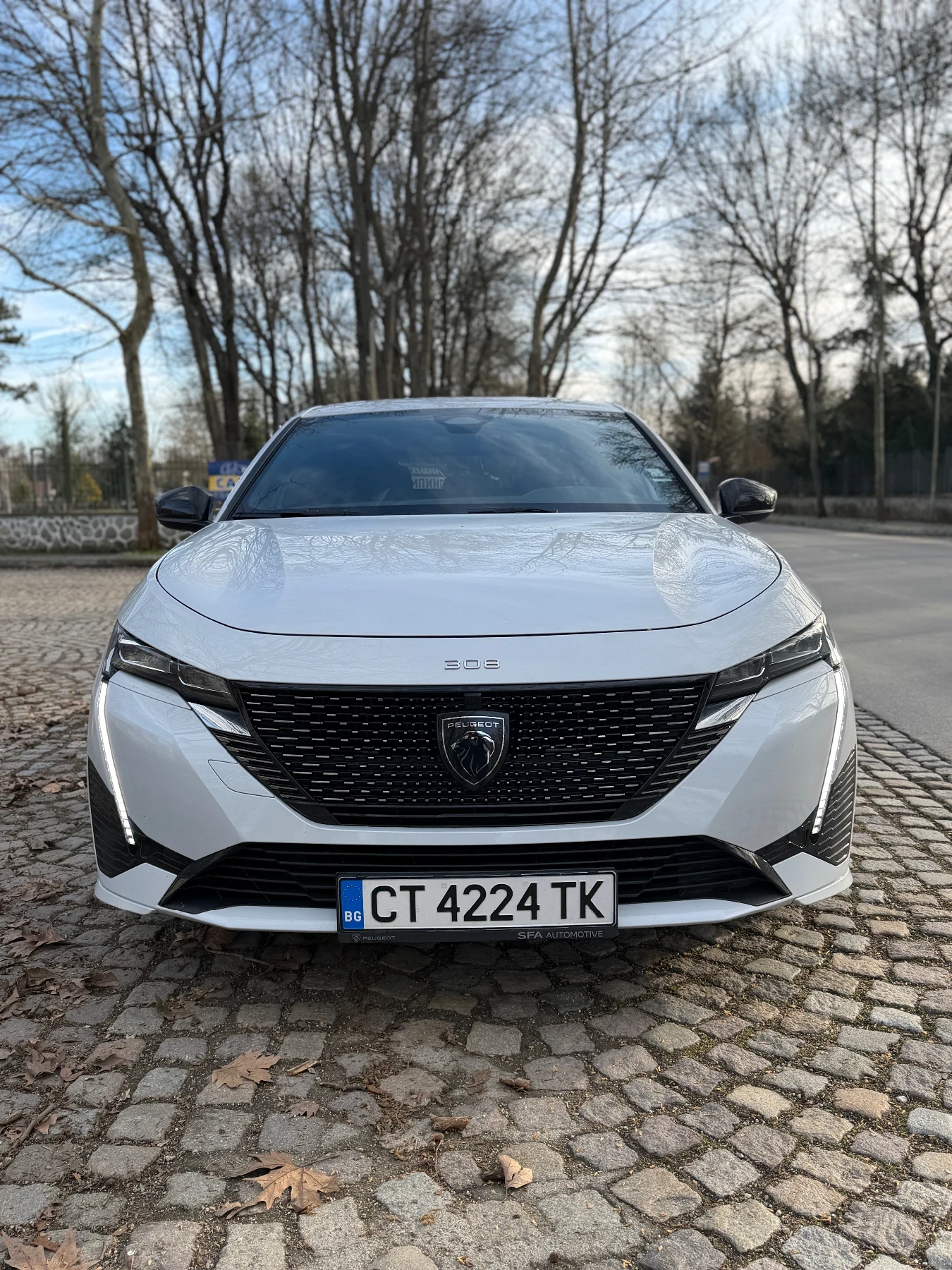 Peugeot 308 GT