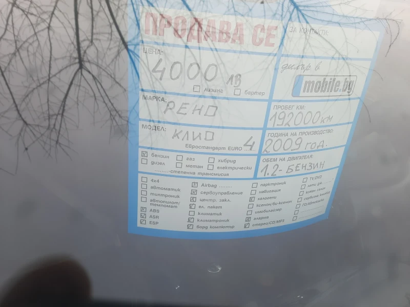 Renault Clio R  2009, снимка 10 - Автомобили и джипове - 53028671