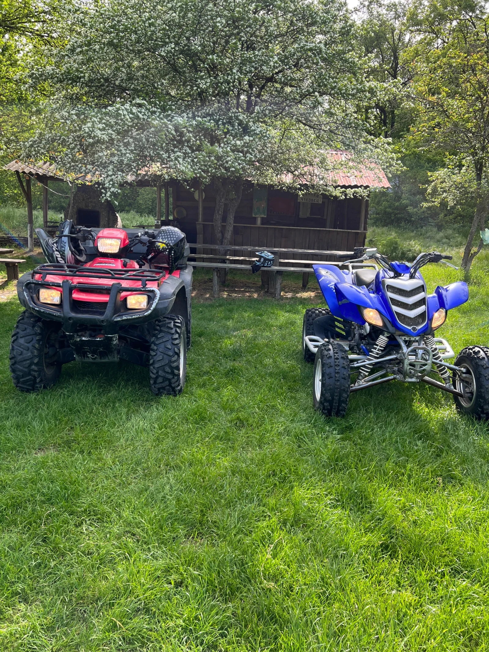 Honda FourTrax  - изображение 5
