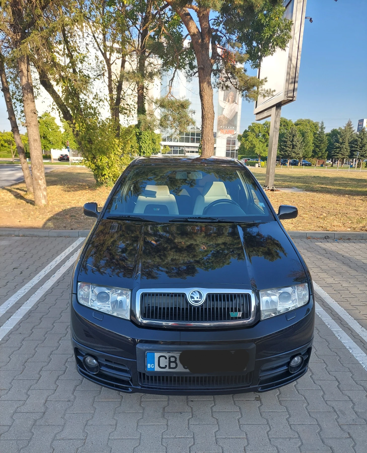 Skoda Fabia vRS  1.9 TDI, снимка 8 - Автомобили и джипове - 55668100