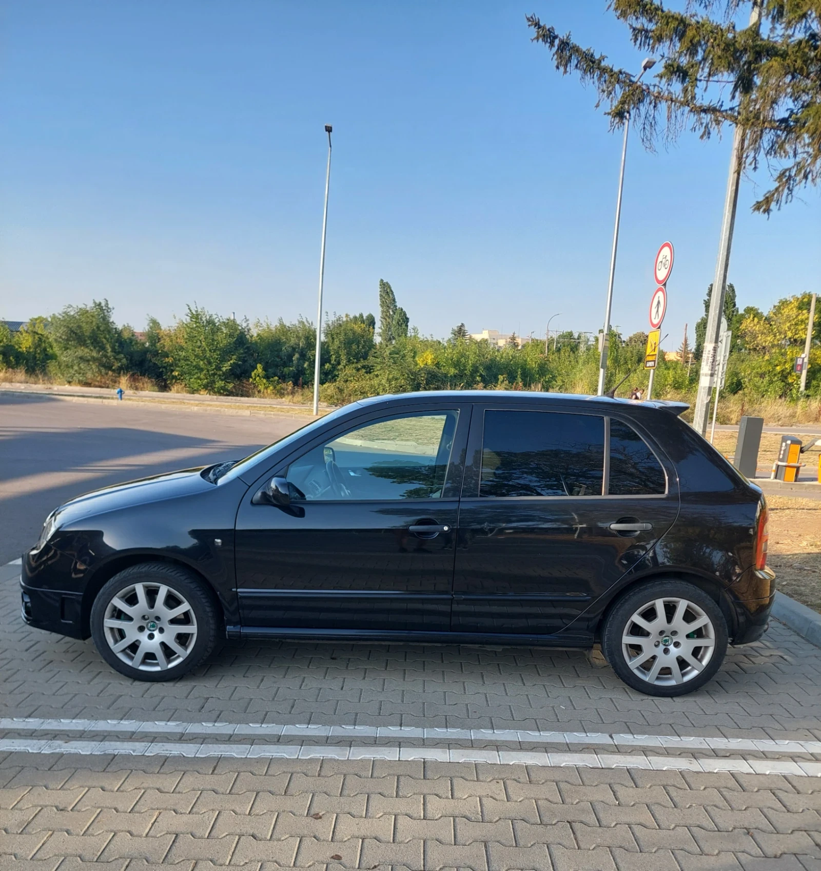 Skoda Fabia vRS  1.9 TDI, снимка 4 - Автомобили и джипове - 55668100