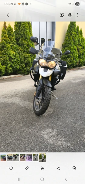������ Triumph Tiger