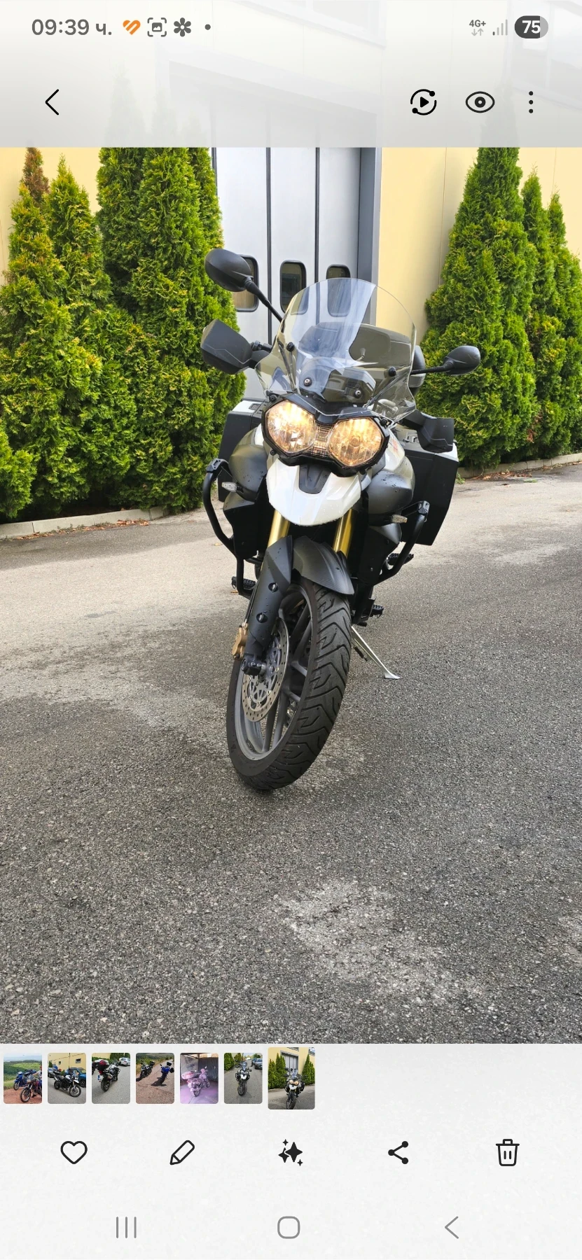Triumph Tiger