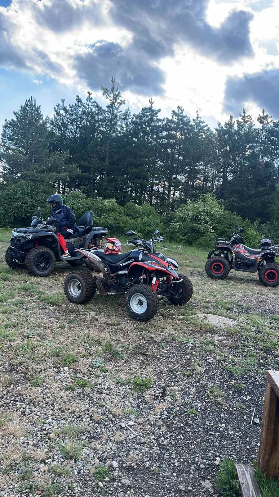 Shineray XY 250 Кубика - изображение 5