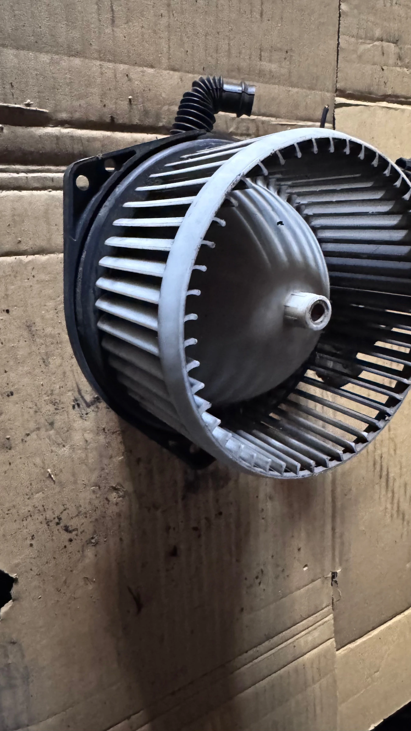 ���������� �� ����� �a Nissan Primera - 4872530350 /  0130111153 | Mobile.bg � ����������� 1