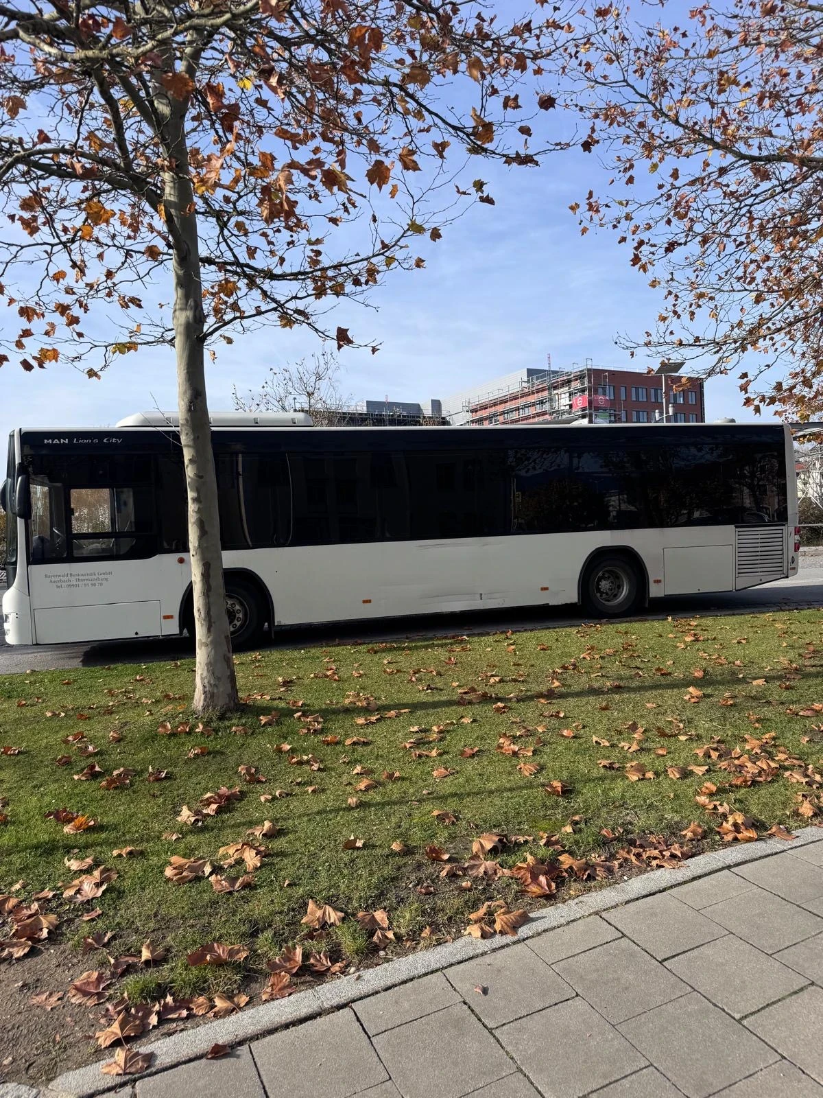 Man Lion S Classic Нов Внос! КЛИМАТИК, Печка, EEV, ZF ABS, ASD, снимка 3 - Бусове и автобуси - 54663001