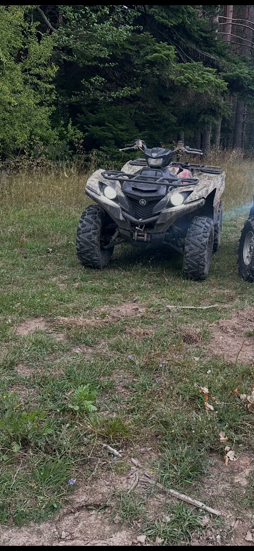Yamaha Grizzly 700 ESP