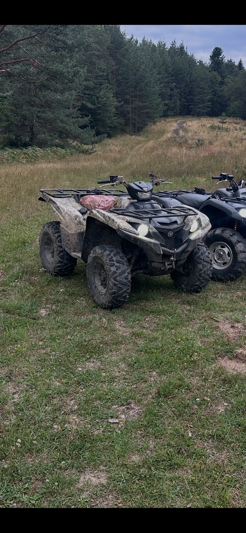 Yamaha Grizzly 700 ESP, снимка 5 - Мотоциклети и мототехника - 56647302