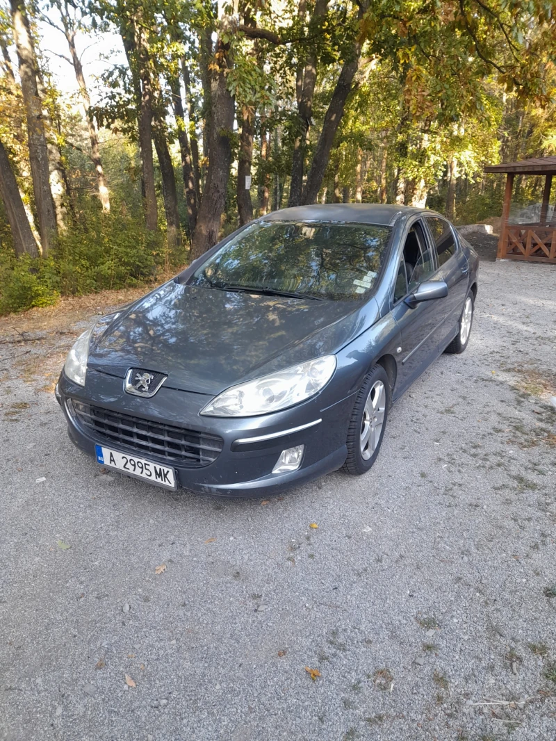 Peugeot 407 2.0 HDI, снимка 5 - Автомобили и джипове - 47465763