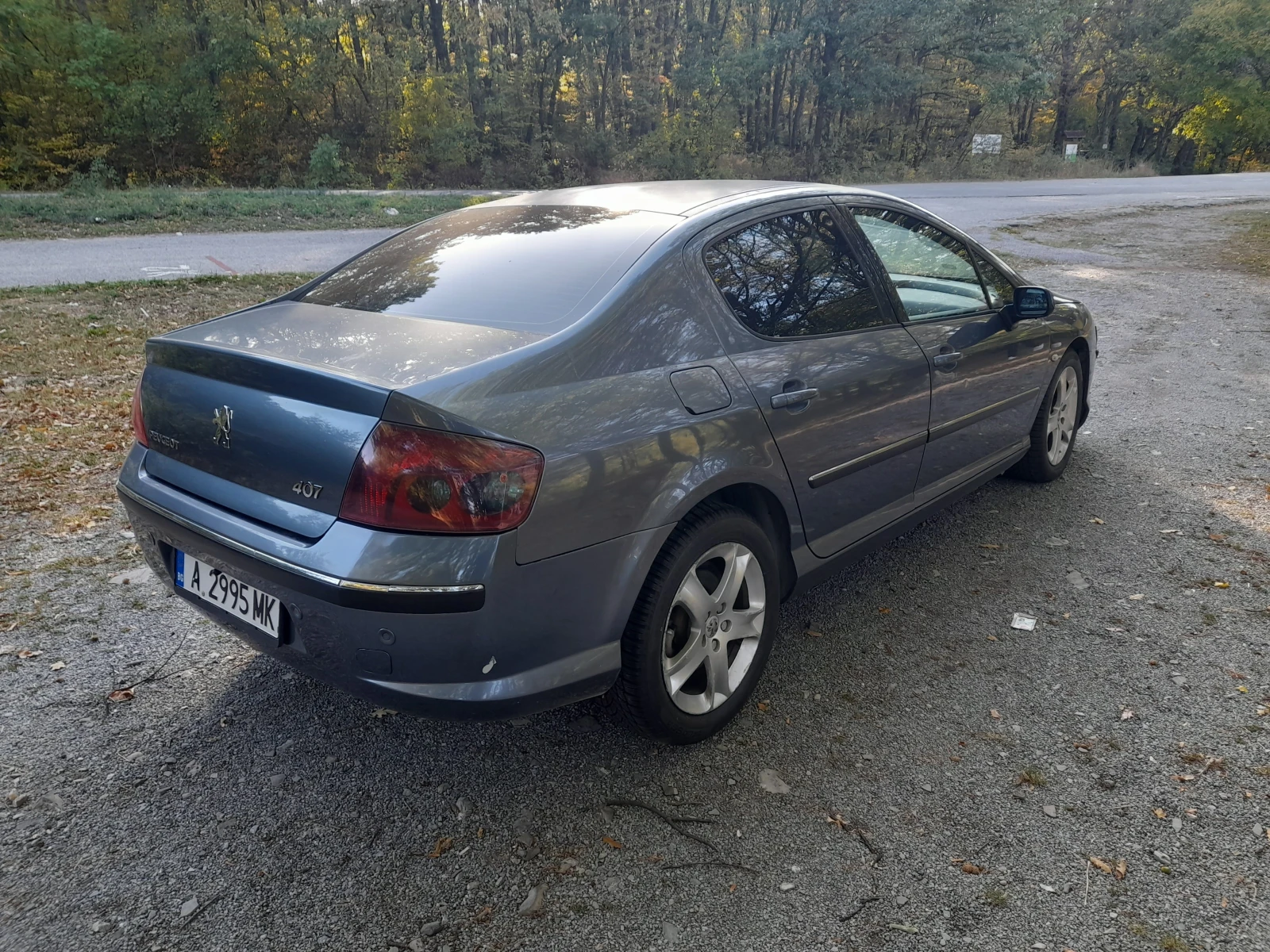 Peugeot 407 2.0 HDI - изображение 4