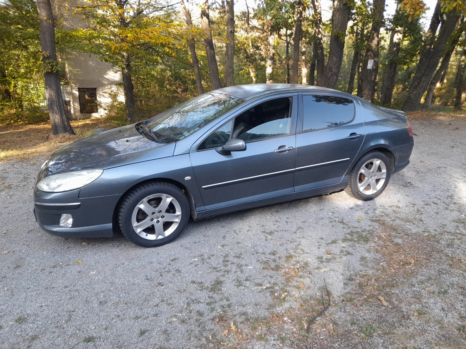 Peugeot 407 2.0 HDI - изображение 2