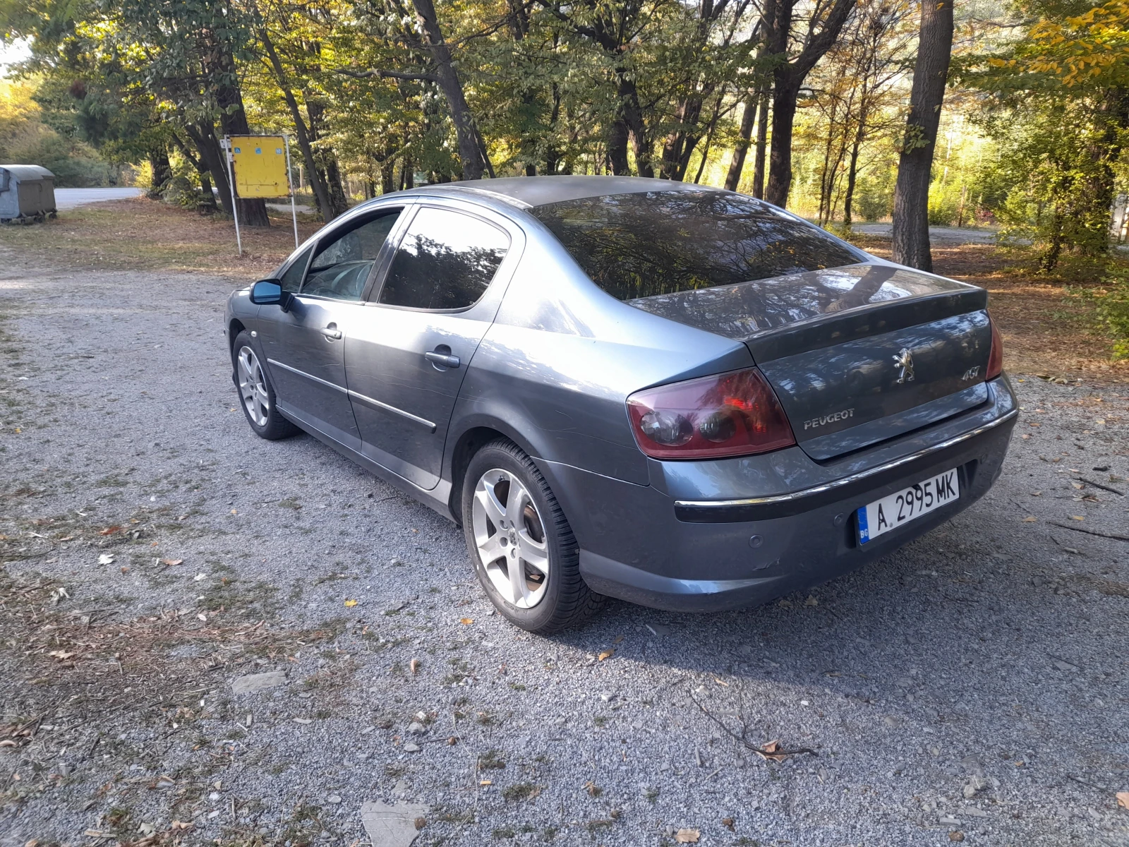 Peugeot 407 2.0 HDI - изображение 3