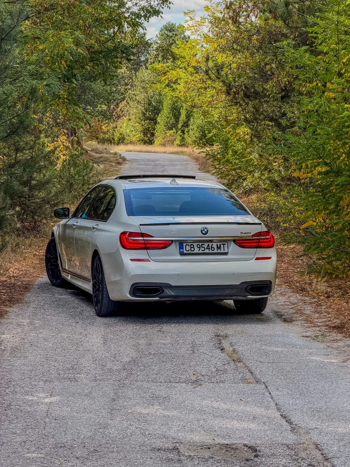 BMW 740 Li , снимка 4 - Автомобили и джипове - 56547189