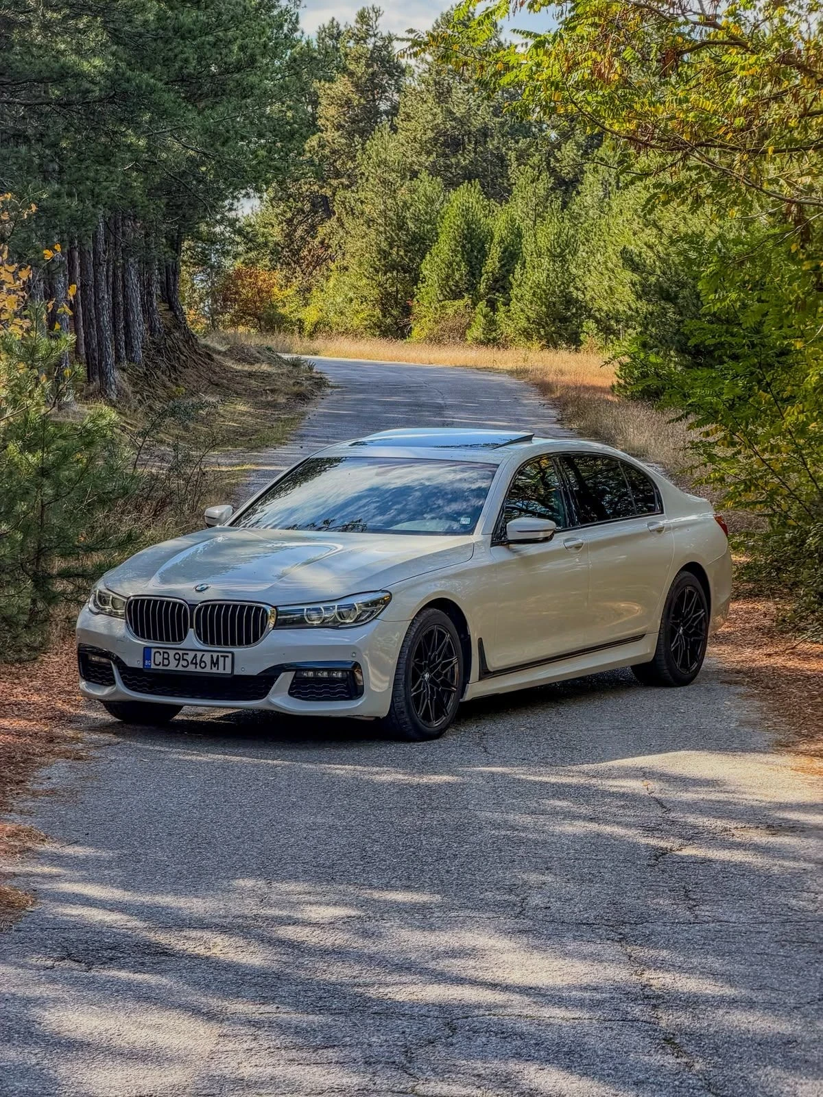 BMW 740 Li , снимка 5 - Автомобили и джипове - 56547189