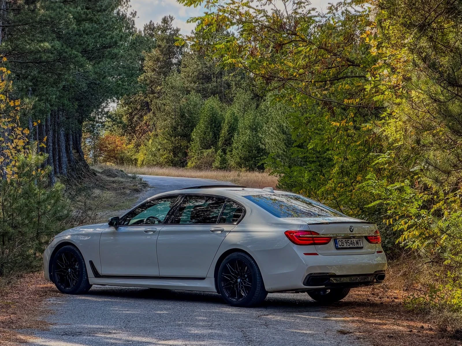 BMW 740 Li , снимка 3 - Автомобили и джипове - 56547189