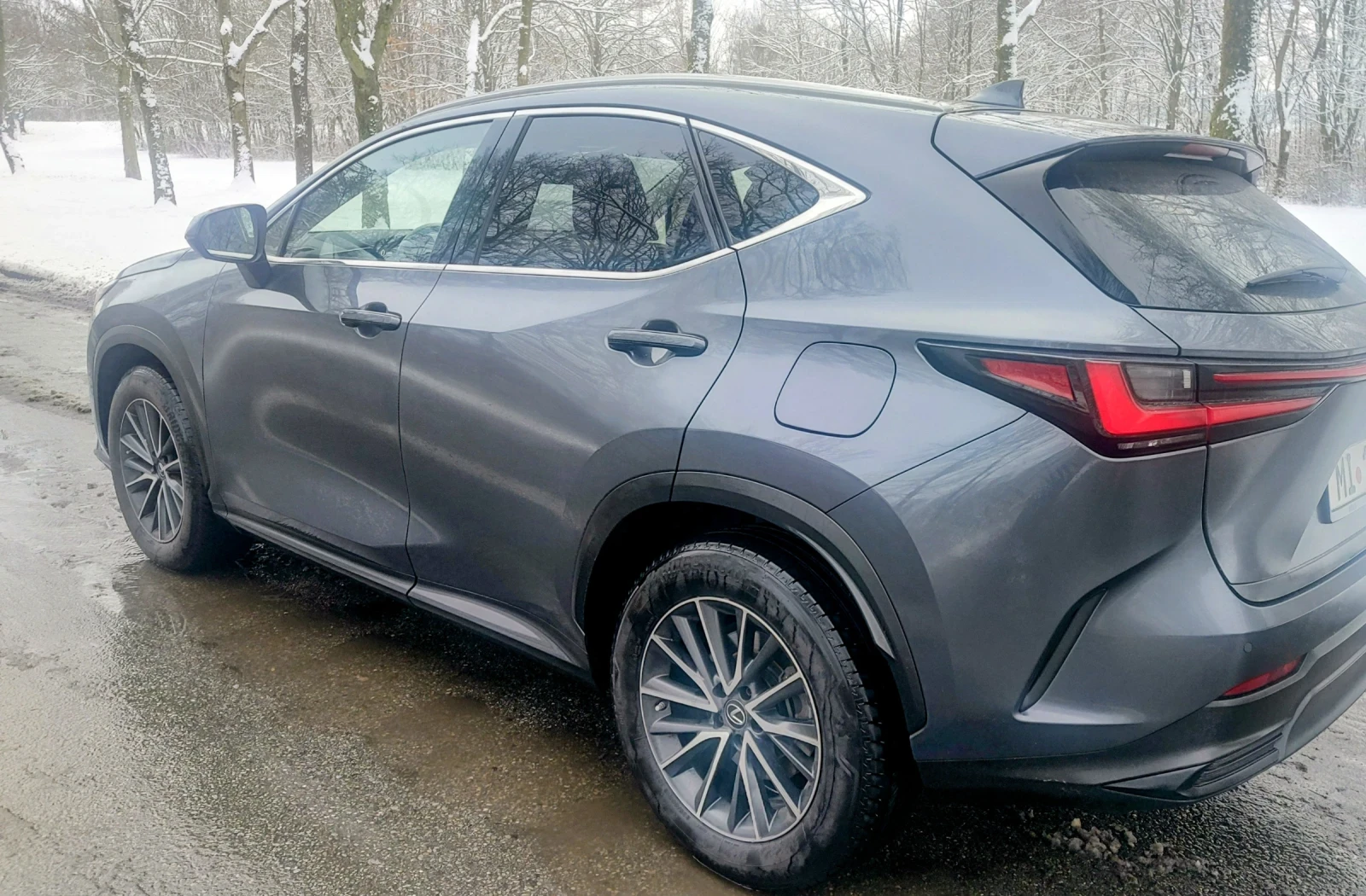 Lexus NX 450 + /4х4/360Camera/ - изображение 4