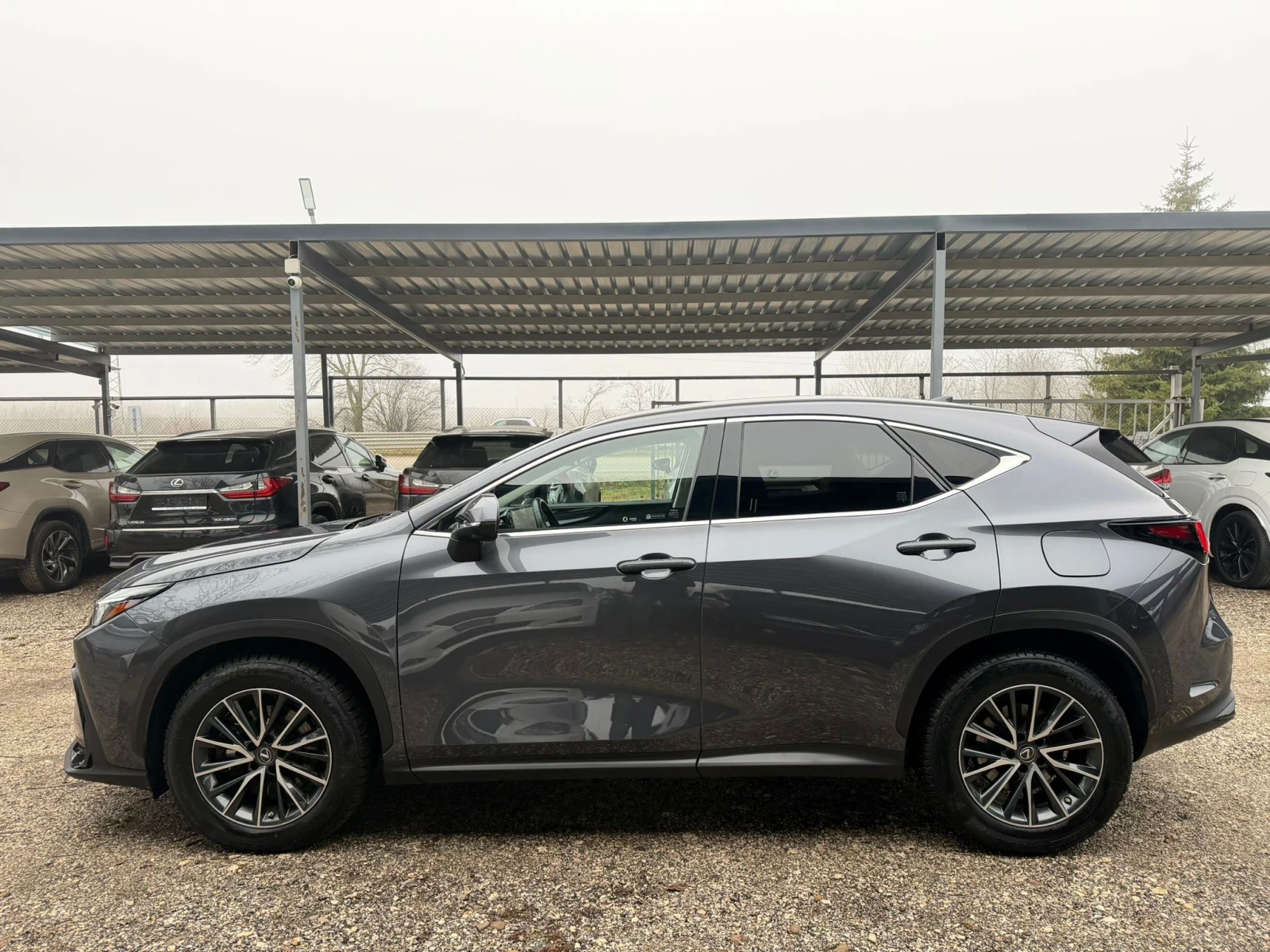 Lexus NX 450 + /4�4/360Camera/����� �������� | Mobile.bg � ����������� 8