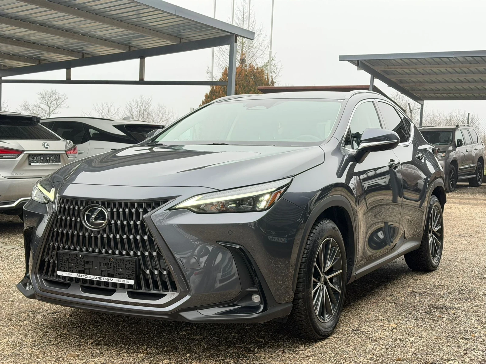 Lexus NX 450 + /4�4/360Camera/����� �������� | Mobile.bg � ����������� 1