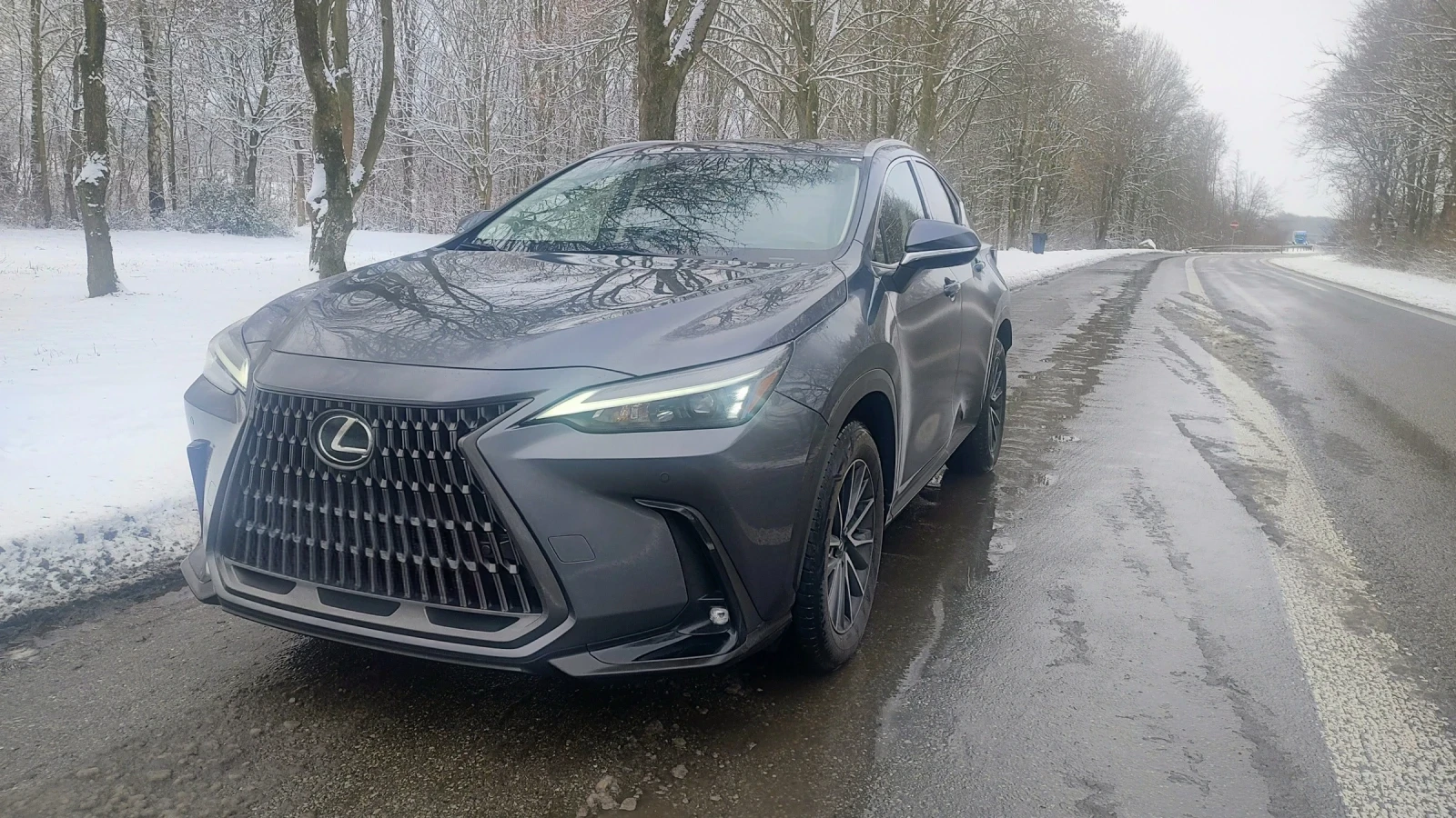 Lexus NX 450 + /4х4/360Camera/ - изображение 6