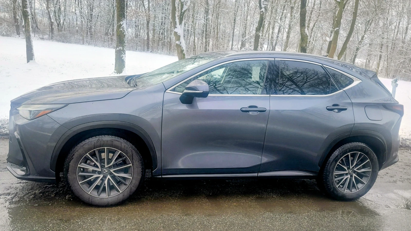 Lexus NX 450 + /4х4/360Camera/ - изображение 5