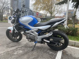 Suzuki Gladius, снимка 2