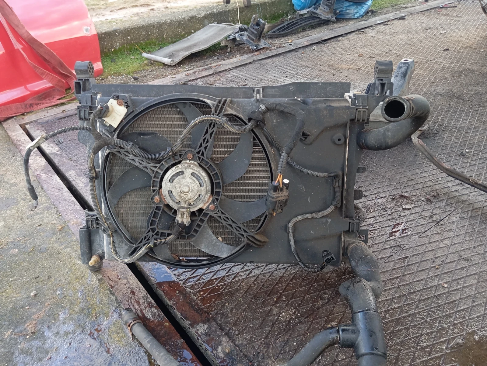 ����� �� ���� ����� � ������,1,0 ������  | Mobile.bg � ����������� 12