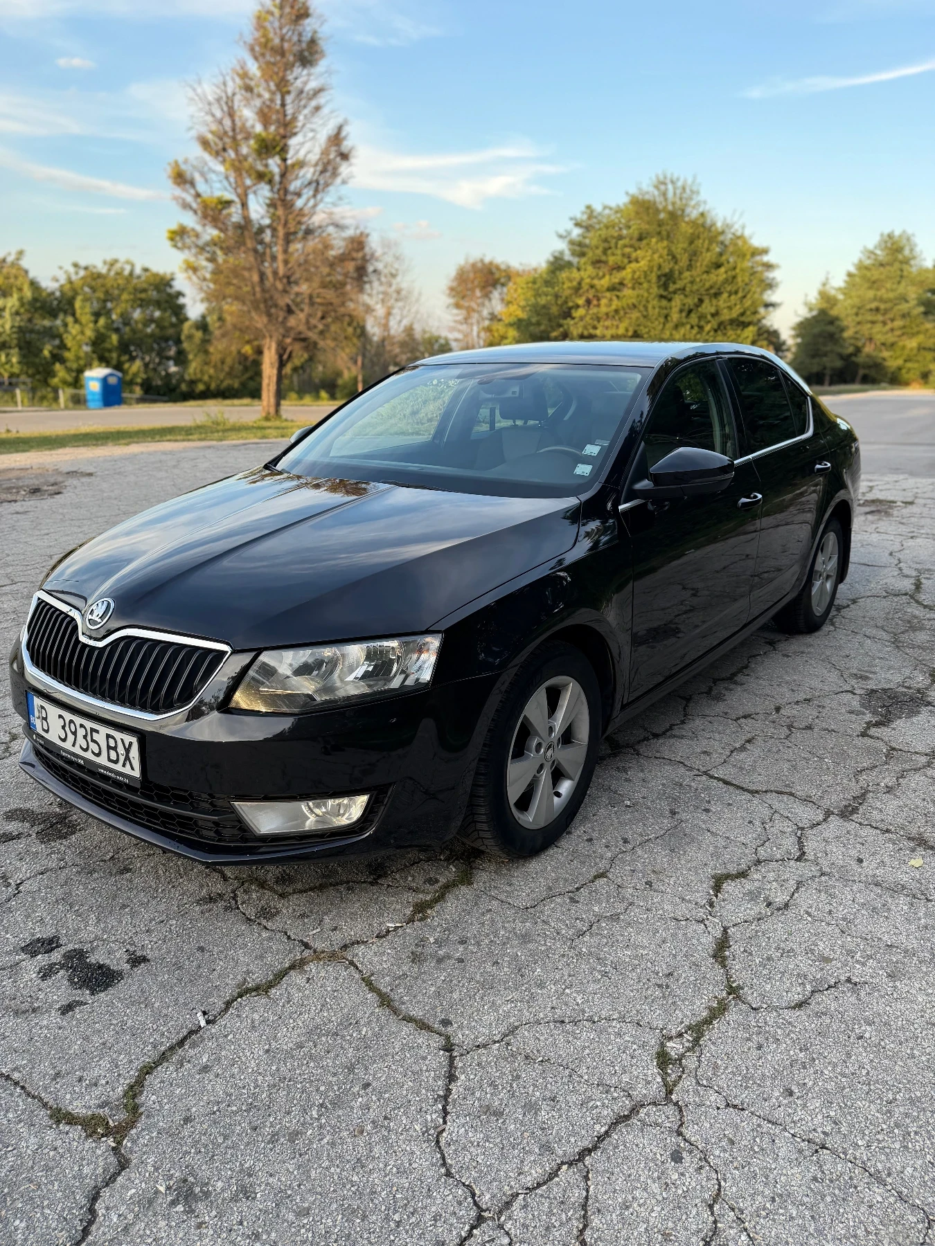 Skoda Octavia 1.6 Diesel / N1 товарен автомобил, снимка 3 - Автомобили и джипове - 56215679