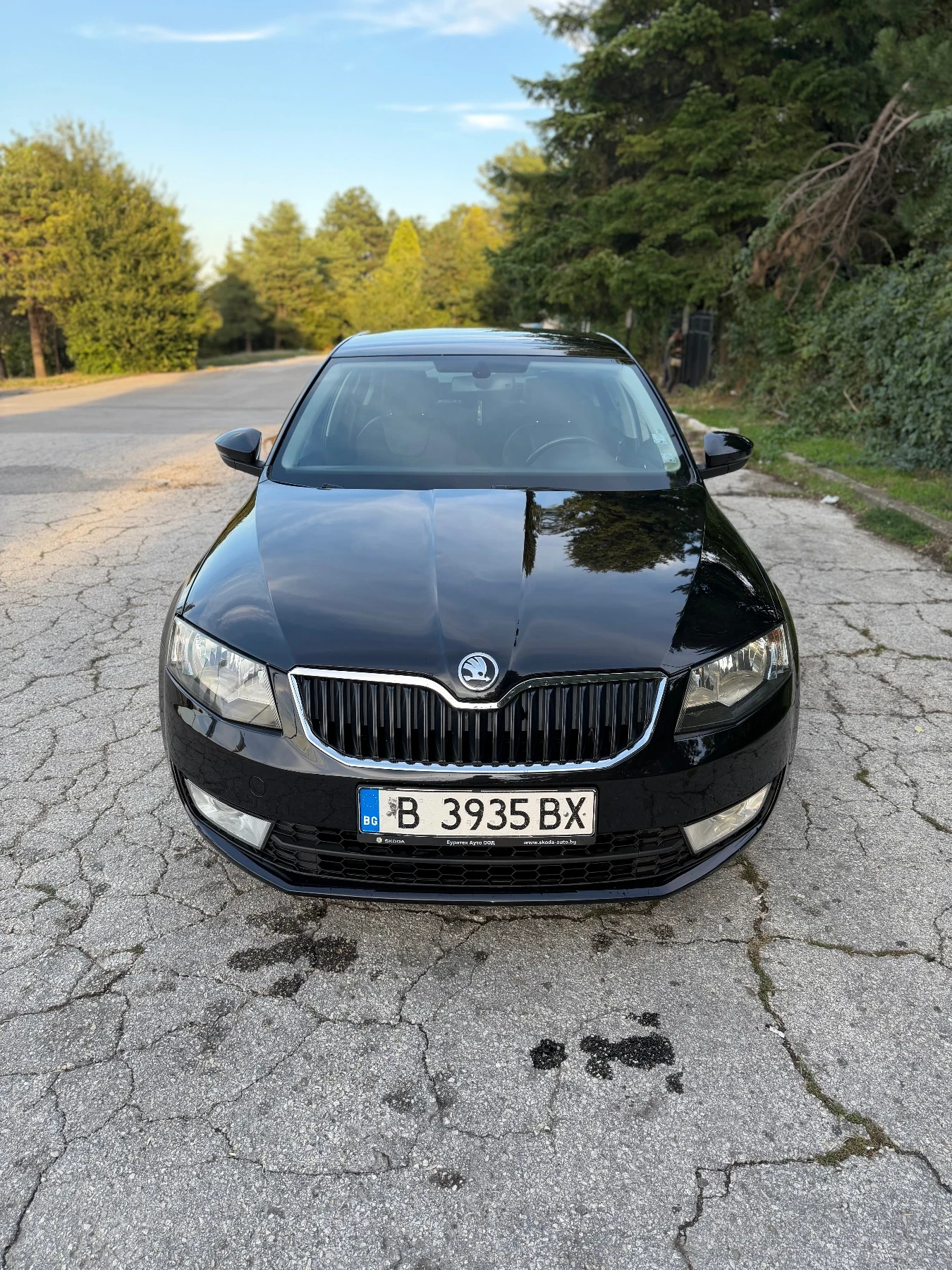 Skoda Octavia 1.6 Diesel / N1 товарен автомобил, снимка 2 - Автомобили и джипове - 56215679