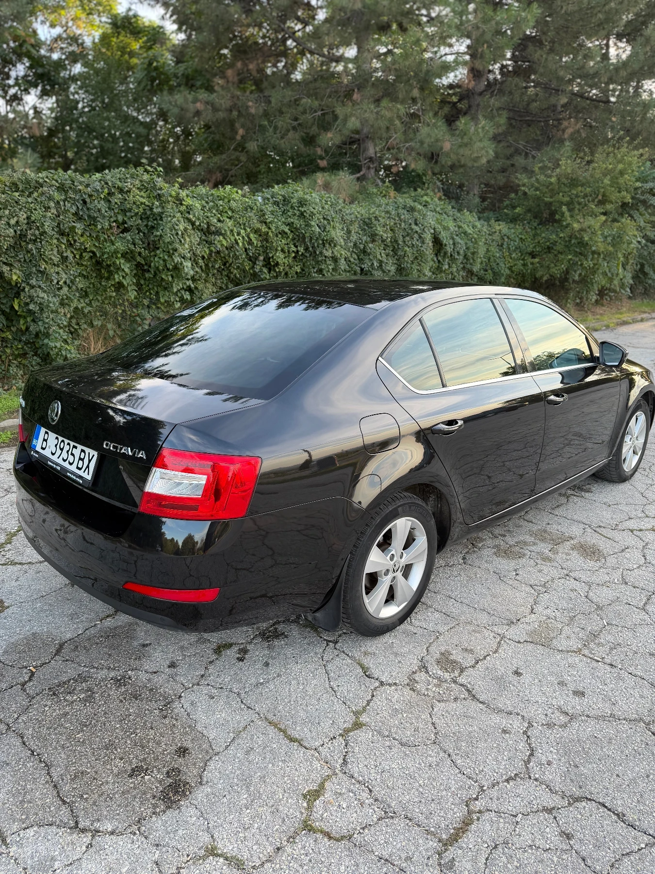 Skoda Octavia 1.6 Diesel / N1 товарен автомобил, снимка 5 - Автомобили и джипове - 56215679