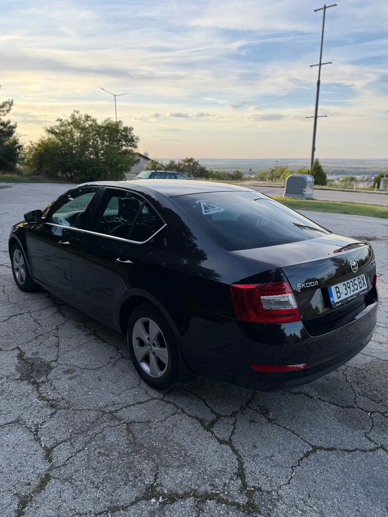 Skoda Octavia 1.6 Diesel / N1 товарен автомобил, снимка 4 - Автомобили и джипове - 56215679